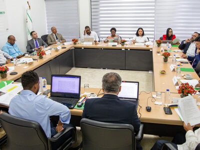 Hoy lunes inicia el diálogo en el CES sobre la crisis de Haití