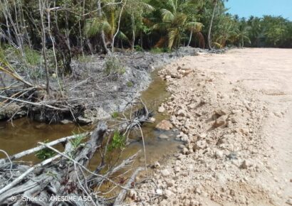 Ministerio Público paraliza proyecto The Reef en Samaná por daños al medio ambiente