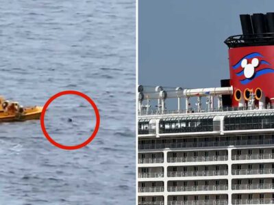 Padre se lanza al mar desde crucero Disney para salvar a su hija tras caer al agua