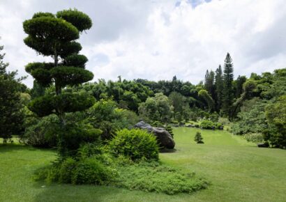 Gobierno inicia proceso para titular terrenos del Jardín Botánico
