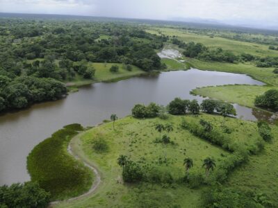 La pérdida de humedales podría costarle al mundo hasta 39 billones de dólares, advierte la Convención de Ramsar