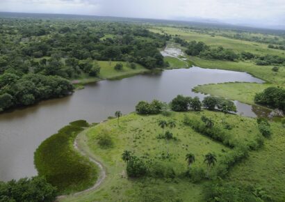 La pérdida de humedales podría costarle al mundo hasta 39 billones de dólares, advierte la Convención de Ramsar