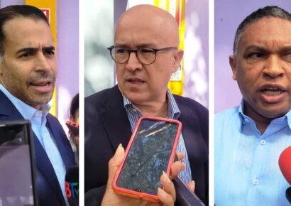 Miembros del Comité Político del PLD advierten que Gobierno cometería grave error atentando contra patrimonio natural y aumentando impuestos