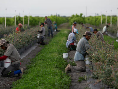 Inmigrantes sin papeles pierden acceso a iniciativas de desarrollo laboral en EE.UU.