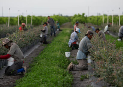 Inmigrantes sin papeles pierden acceso a iniciativas de desarrollo laboral en EE.UU.
