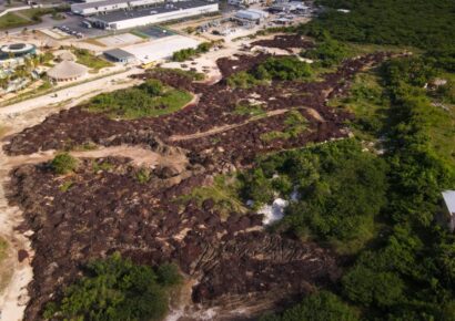 Medio Ambiente somete a la justicia al hotel Grand Sirenis por causar daños ecológicos en playas de Uvero Alto