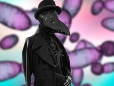 Muere paciente en EE.UU. por peste bubónica, el primer caso mortal de 2025