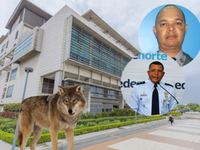 Dos imputados en Operación Lobo admiten su responsabilidad en caso de corrupción