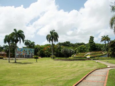 Exdirector del Jardín Botánico se opone a reducir área verde por obra vial