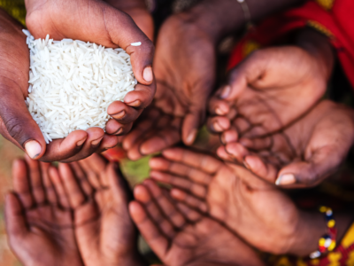 La subalimentación baja a 3.6 % en RD, pero preocupa el alza de precios