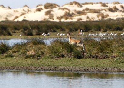 Rusia anuncia su salida del tratado internacional sobre los humedales por “politización”