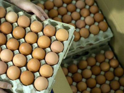 Disputa legal entre Trump y California por control de precios de huevos