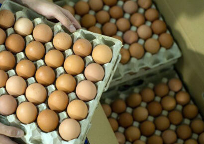 Disputa legal entre Trump y California por control de precios de huevos