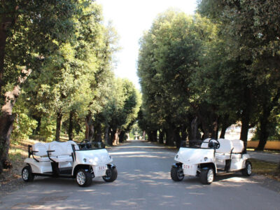 Entregan al Papa dos autos eléctricos para viajes internacionales