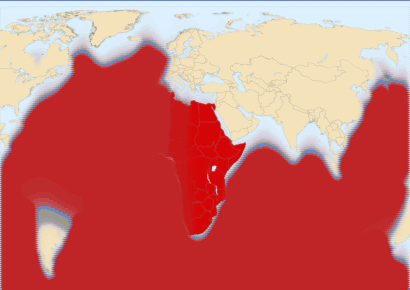 Campaña internacional busca corregir el mapa mundial para mostrar el verdadero tamaño de África