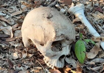 Hallan cráneo humano dentro de una caja en carretera Higüey–Santana