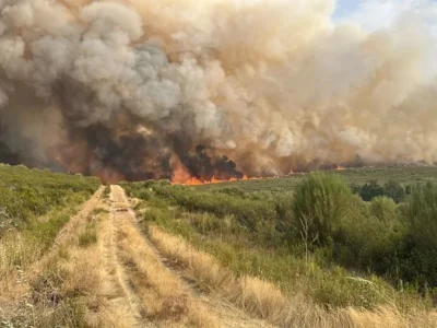 Ola de incendios en España deja un muerto y miles de evacuados