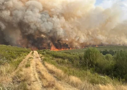Ola de incendios en España deja un muerto y miles de evacuados