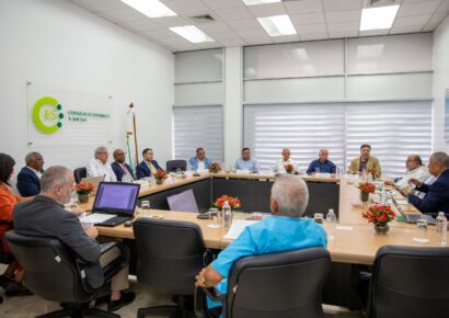 CES aprueba Informe Final del Diálogo sobre la crisis haitiana y sus implicaciones para RD