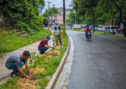 Alcaldía del DN planta 140 árboles en la avenida Paseo de los Reyes Católicos