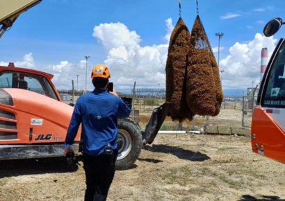 SOS Carbon y la Armada Dominicana actúan contra el sargazo que afecta a Punta Catalina