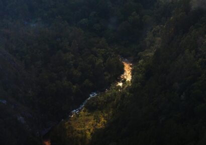 Refuerzan brigadas para controlar incendio en Parque Armando Bermúdez