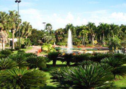 Jardín Botánico Nacional celebrará su 49.º aniversario con entrada gratuita este domingo