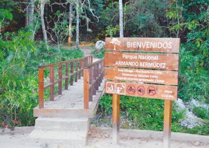 Incendio obliga al cierre temporal del Parque Nacional Armando Bermúdez