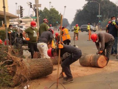 Política migratoria de Trump provoca caída histórica de trabajadores y afecta la economía