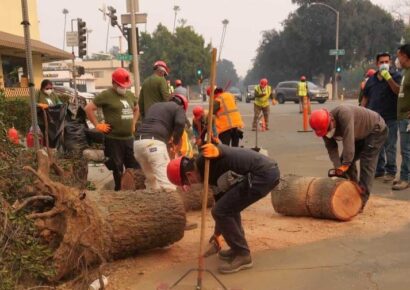 Política migratoria de Trump provoca caída histórica de trabajadores y afecta la economía