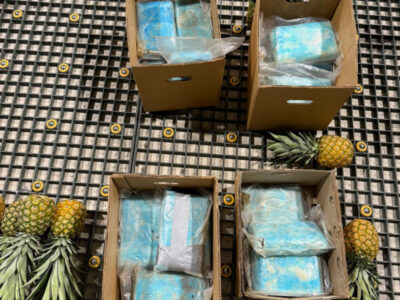 DNCD incauta 30 paquetes de cocaína ocultos en cajas de piña en Aeropuerto de Punta Cana