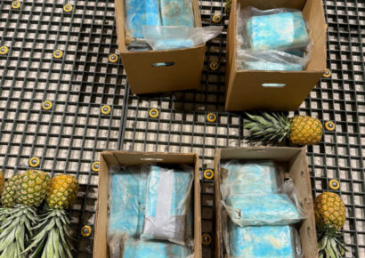 DNCD incauta 30 paquetes de cocaína ocultos en cajas de piña en Aeropuerto de Punta Cana