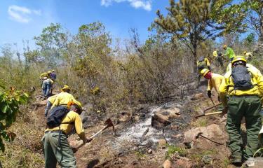 Ministerio de Medio Ambiente somete a consulta reglamento para emergencias ambientales