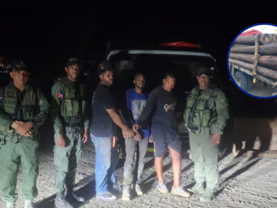 SENPA y Medio Ambiente incauta 22 pinos transportados sin autorización en La Vega