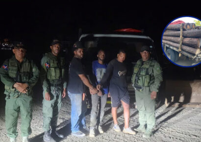 SENPA y Medio Ambiente incauta 22 pinos transportados sin autorización en La Vega