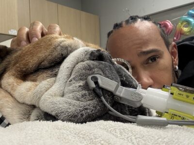 Murió Roscoe, el perro de Lewis Hamilton: “Tuve que tomar la decisión más difícil de mi vida”