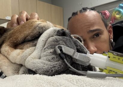 Murió Roscoe, el perro de Lewis Hamilton: “Tuve que tomar la decisión más difícil de mi vida”