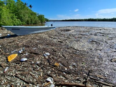 Investigan muerte masiva de peces en el río Soco