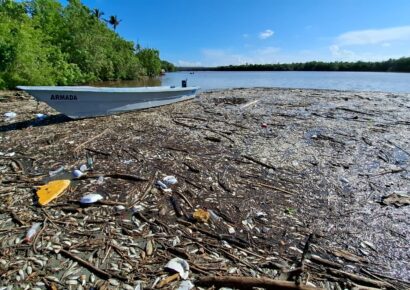 Investigan muerte masiva de peces en el río Soco