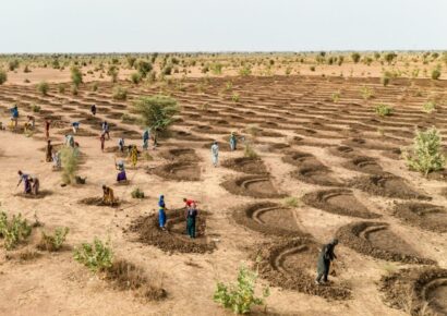 Brasil apunta a recuperar tierras degradadas para garantizar seguridad alimentaria en 2050