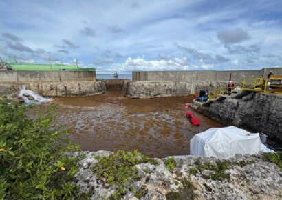 AES Andrés sale del sistema eléctrico por alta concentración de sargazo en Boca Chica