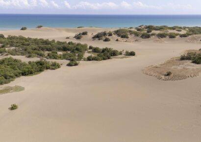 UASD rechaza propuesta de redelimitación de las Dunas de las Calderas: “No se negocian”