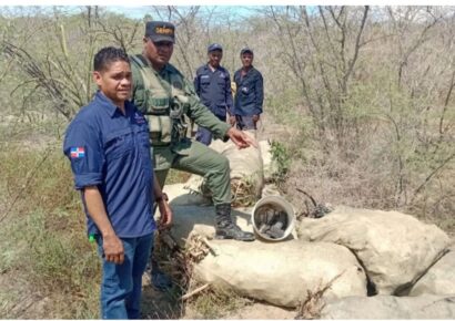 SENPA y Medio Ambiente intensifican operativos contra producción ilegal de carbón y delitos ambientales