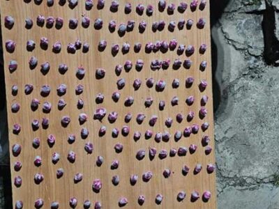 Desmantelan red de venta de drogas en Punta de Garza, Hato Mayor