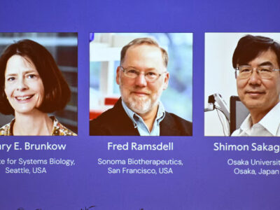 Nobel de Medicina 2025 premia a Brunkow, Ramsdell y Sakaguchi por descubrimiento sobre células T reguladoras