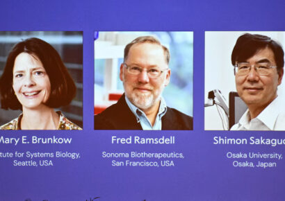 Nobel de Medicina 2025 premia a Brunkow, Ramsdell y Sakaguchi por descubrimiento sobre células T reguladoras