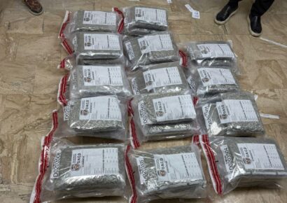 DNCD incauta 42 paquetes de presunta marihuana en aeropuerto de Punta Cana