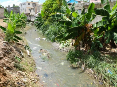 Abinader sobre saneamiento de cañadas: “Esto salva vidas”