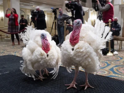 Trump indulta a los pavos Gobble y Waddle en la Casa Blanca