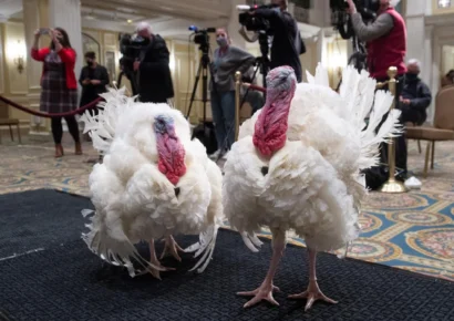 Trump indulta a los pavos Gobble y Waddle en la Casa Blanca